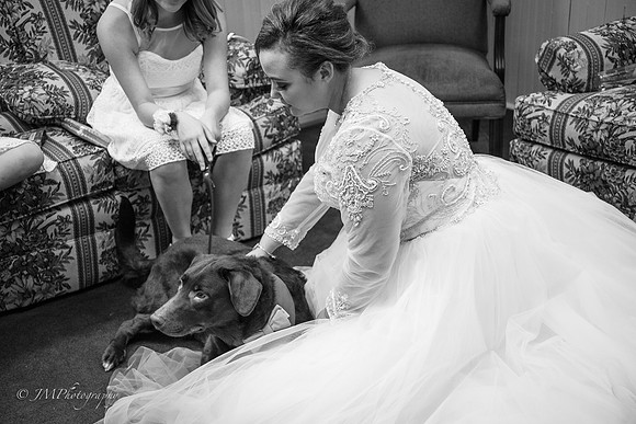 JMP-354